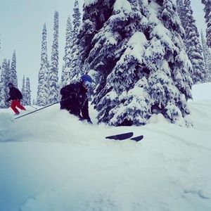 Meet your Posher, Luca